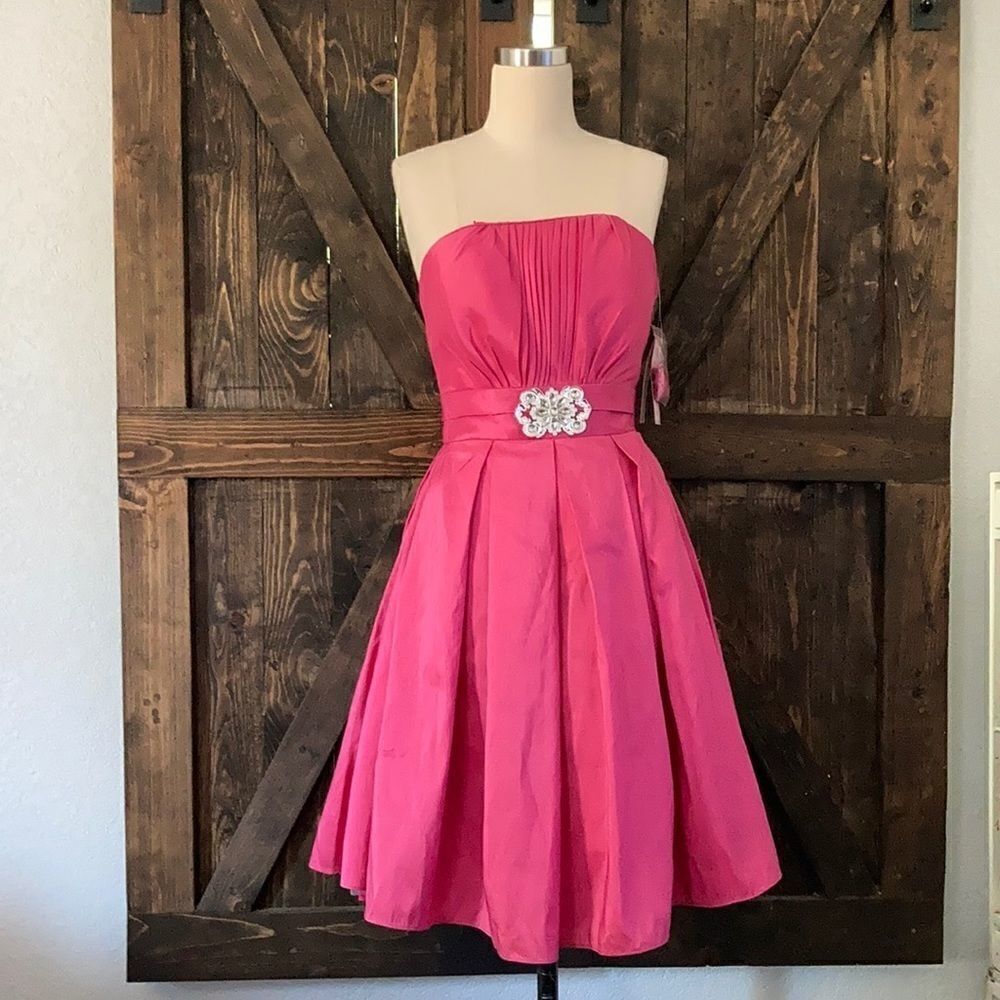 NWT Neblon pink strapless dress
